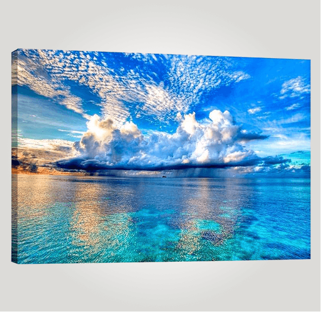 Tela Canvas con Bastidor