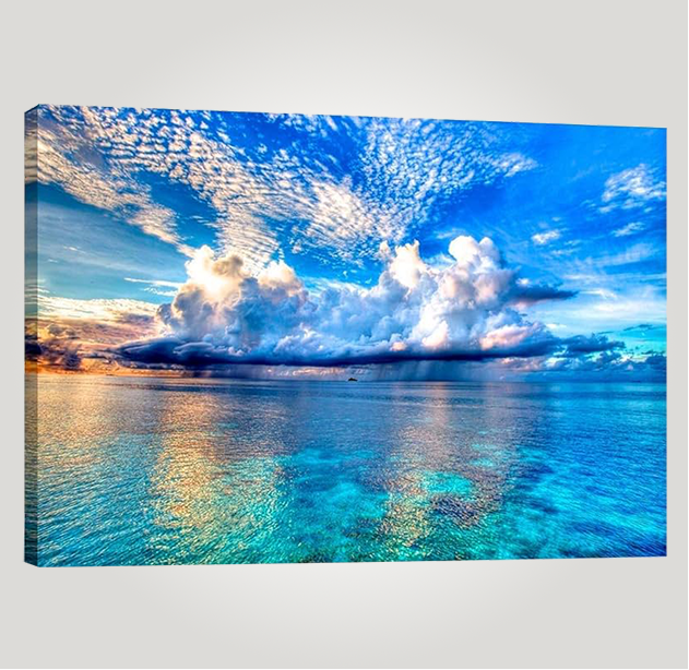 Tela Canvas con Bastidor